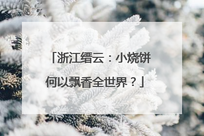 浙江缙云：小烧饼何以飘香全世界？